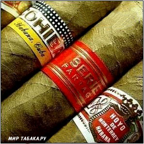 10 ������ ��������� �����