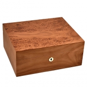 �������� Adorini Catania Elm Bur Medium Deluxe (75 �����) - 16693