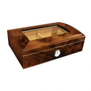 �������� Aficionado Addison