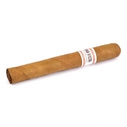 ������ Buena Vista Dark Fired Kentucky Toro