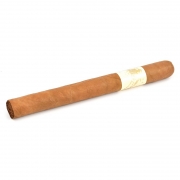 ������ La Instructora Delicado Presidente