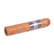 ������ La Instructora Perfection Short Robusto