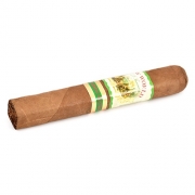 ������ New World Cameroon Gordo