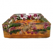 ���������� ���������� ����